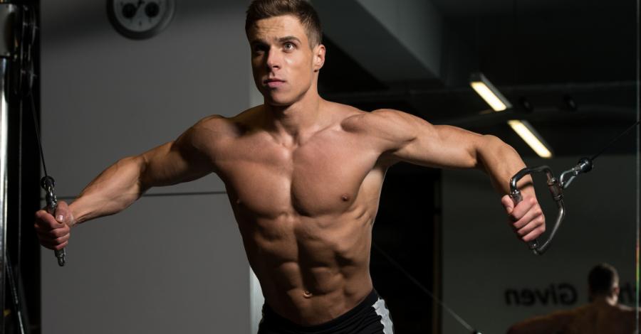 Treino ABC Para Iniciante, Intermediário e Avançado [PDF]