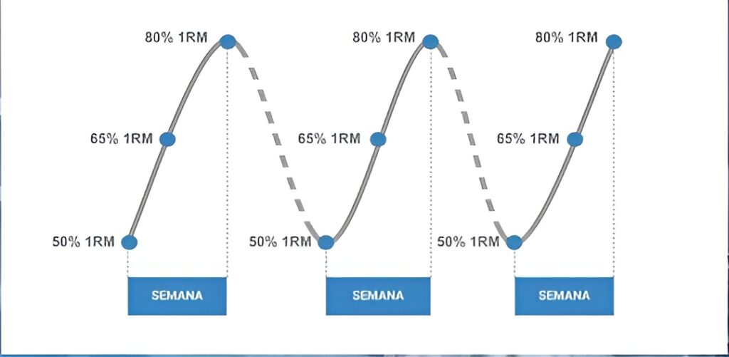 Periodização de treino